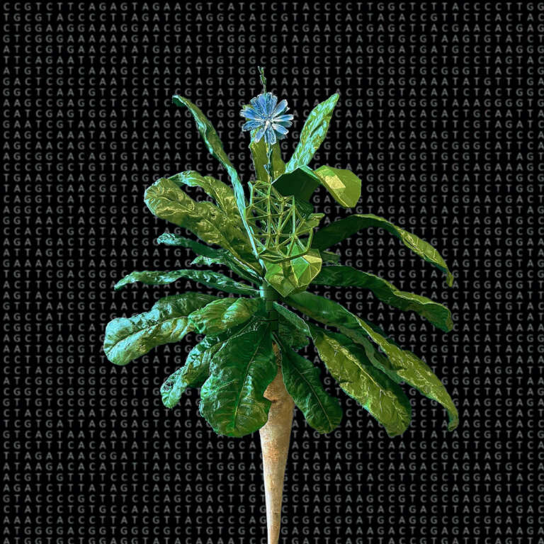 Photo of Biotechnology from the Blue Flower with Background