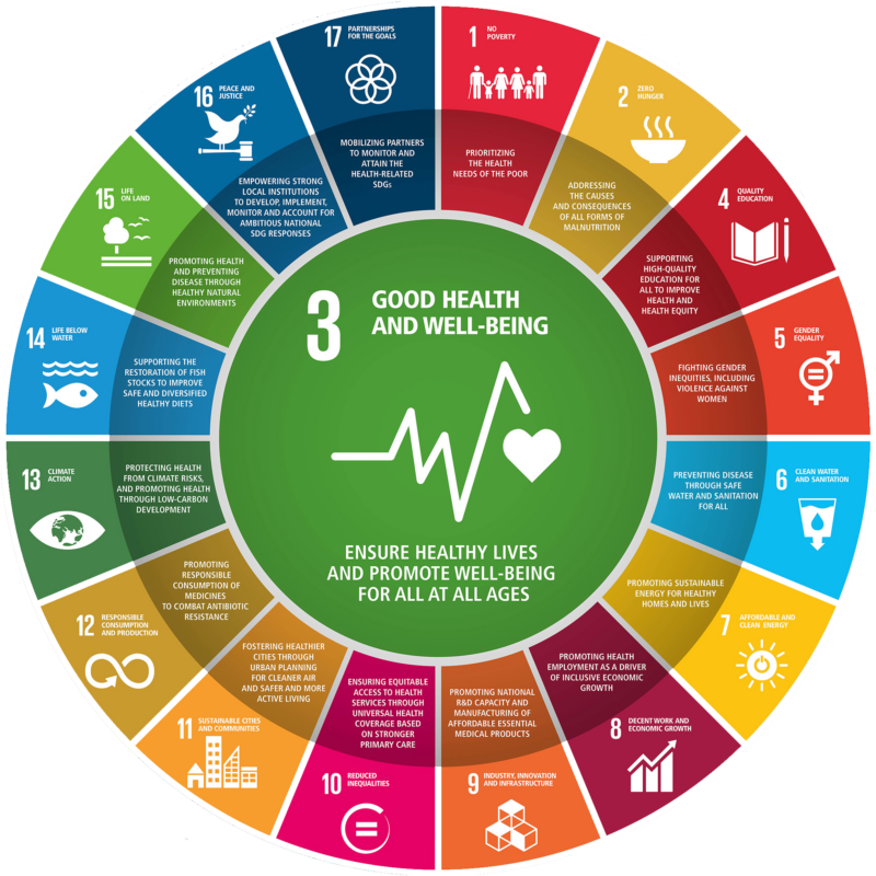 SDG3 on the SDG Wheel