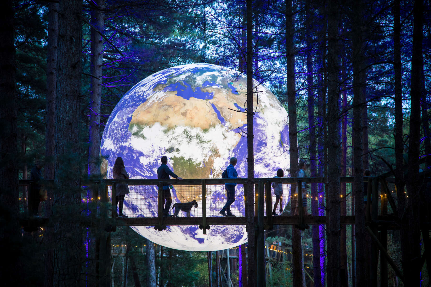 Image of Gaia Installation at Moors Valley Country Park