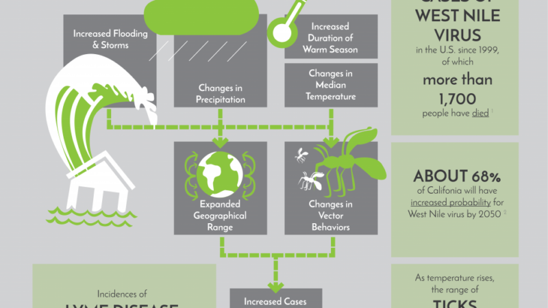 VBDs and climate change infographic
