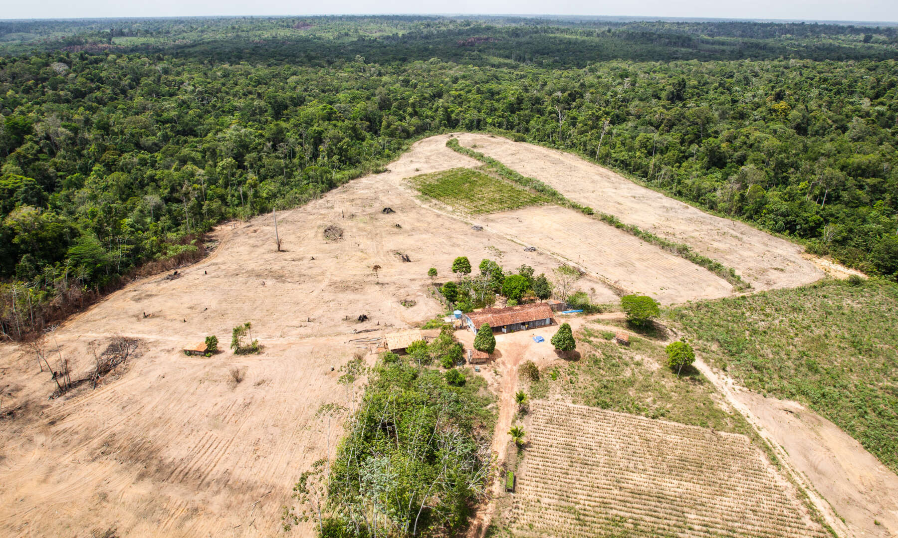 Image of deforestation of the Amazon rainforest.