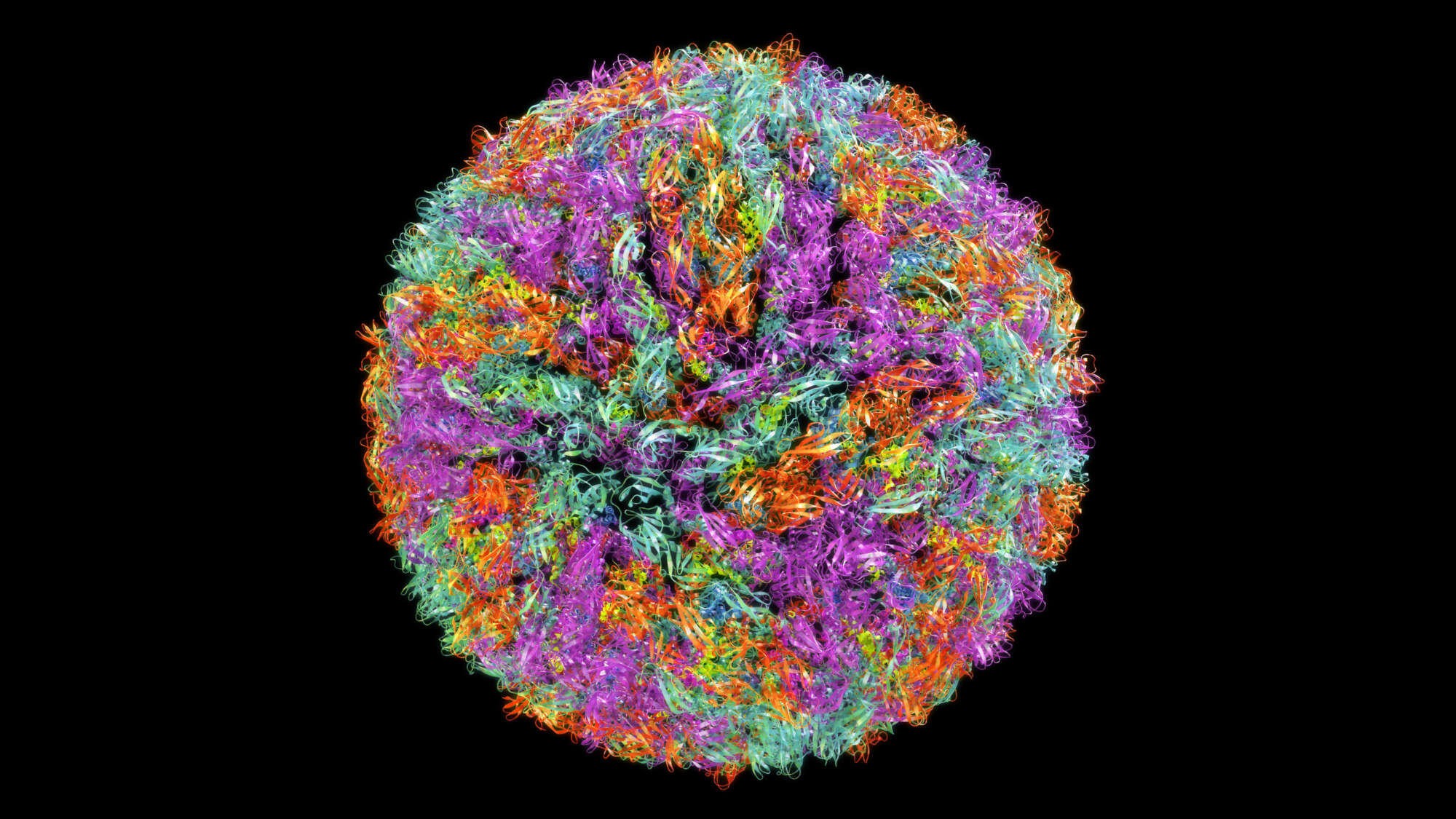3D CG rendered image of scientifically accurate Zika Virus Envelope Structure based on PDB : 5IRE (ribbon style)