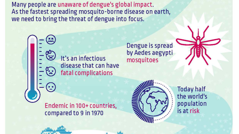 Infographic on why the world needs a dengue day.