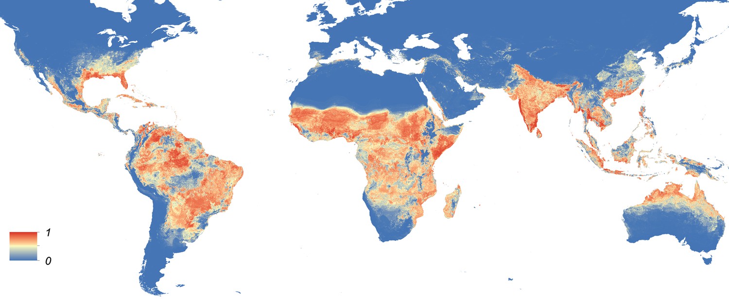 Global map of the predicted distribution of Ae. aegypti