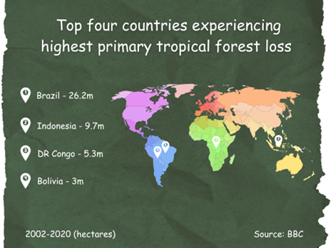 Top Four Countries Experiencing Forest Loss