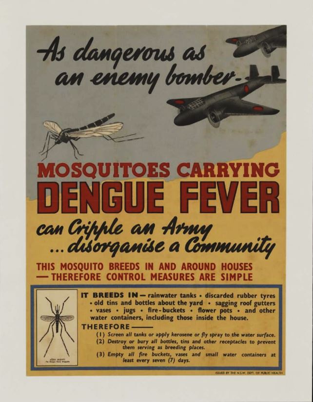 Poster proclaiming the danger of dengue infection during World War II © NSW Department of Health