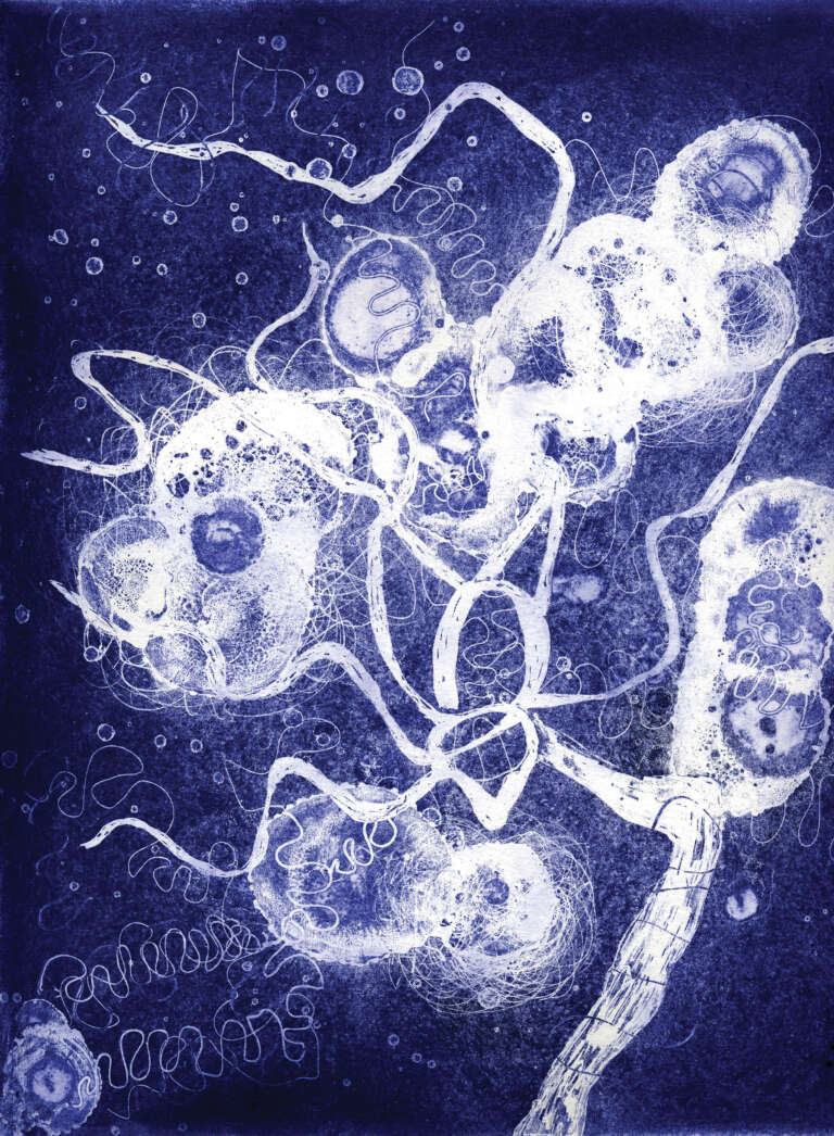 Brainscape 21, Susan Aldworth, etching and aquatint, 30 x 35 cms, 2005