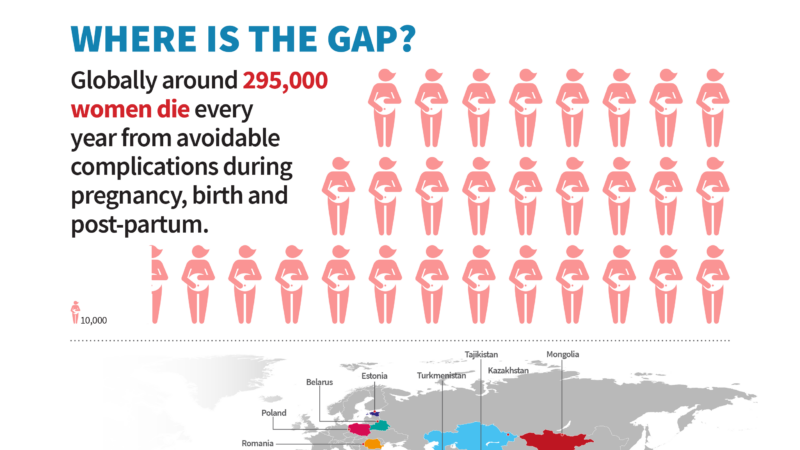 Maternal Child Health Gap Infographic