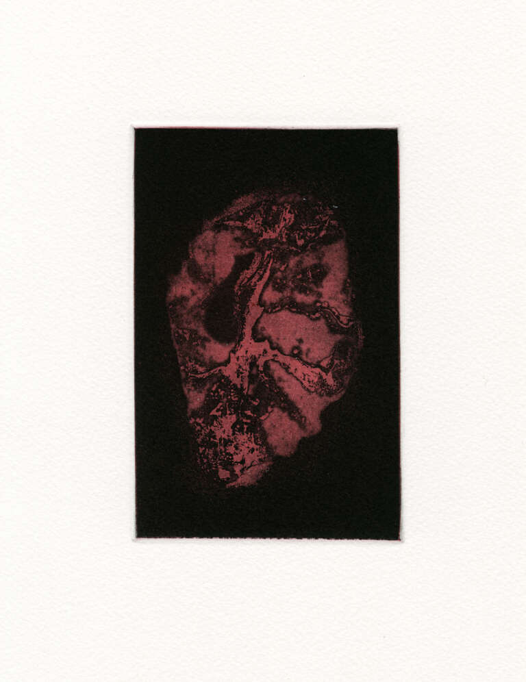 Transience 1, Susan Aldworth, etching and aquatint, 15 x9 cms, 2013.Image courtesy of the artist copy