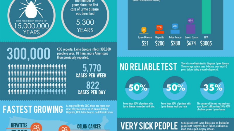 Infographic about Lyme Disease