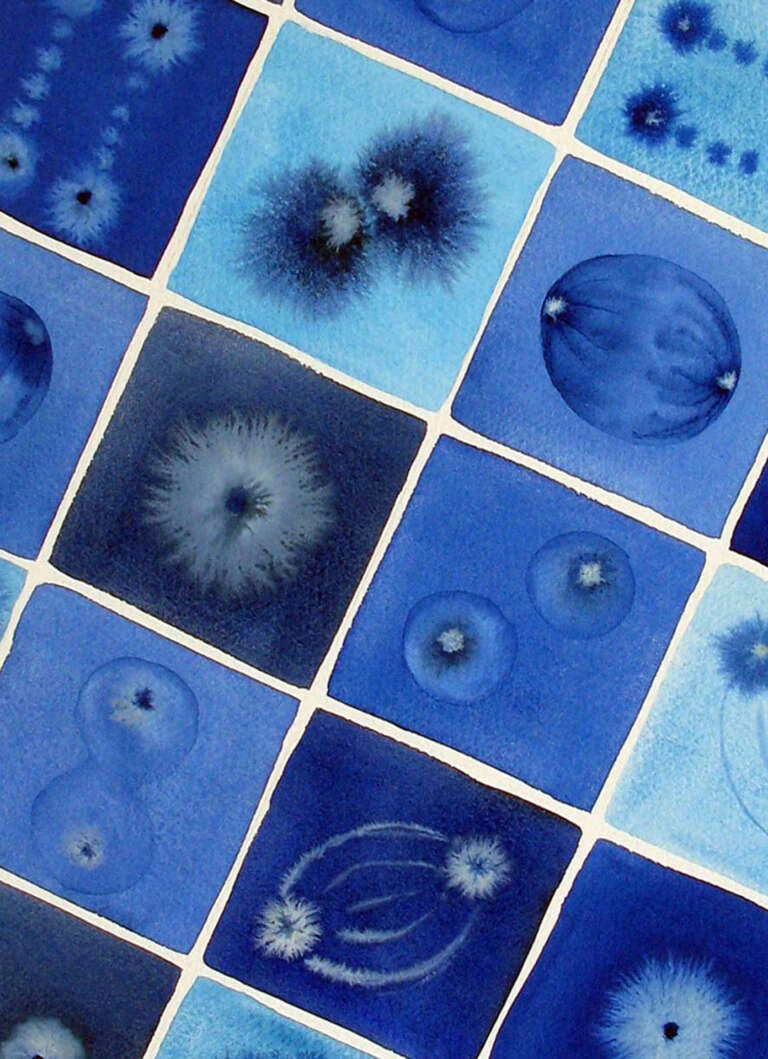 Blue Mitosis 2011 wc