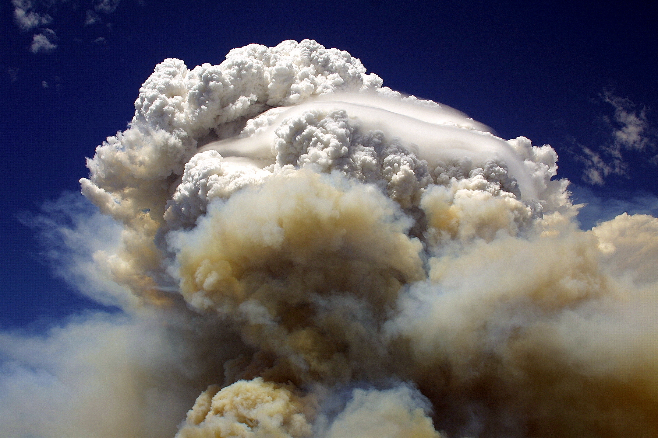The 2004 Willow Fire burning near Payson, Arizona, producing a “fire cloud”.