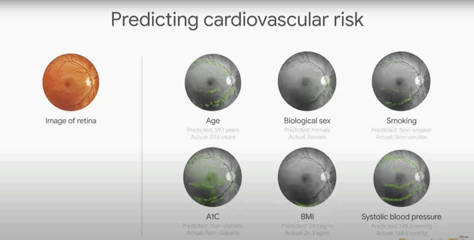 Image taken from Google AI video.