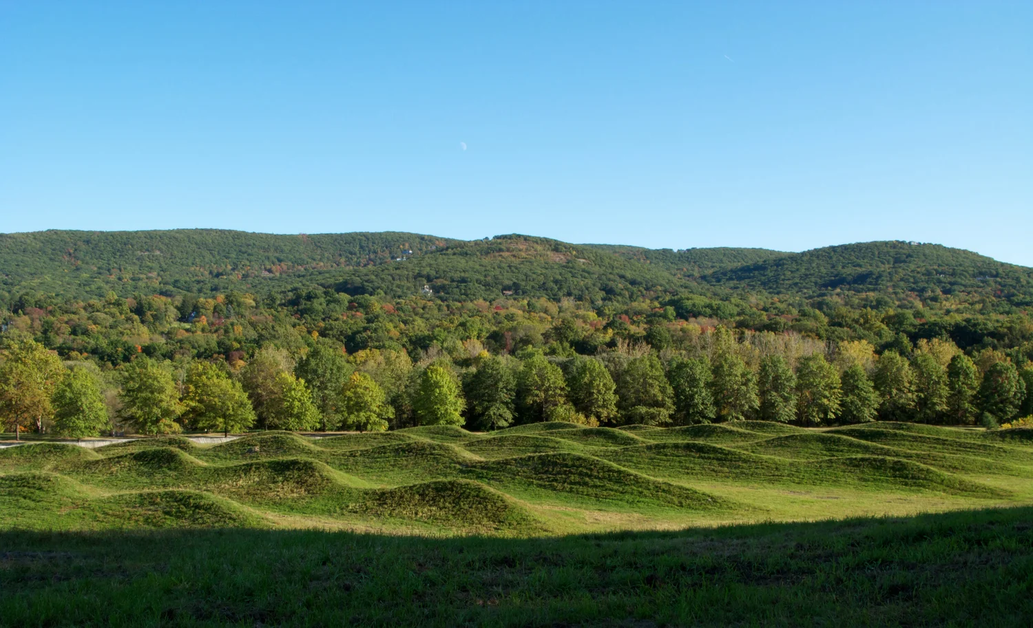 Image of Storm King Wave Field